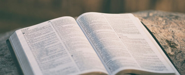Bible Track image
