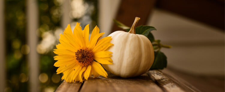 Students Friendsgiving Party image