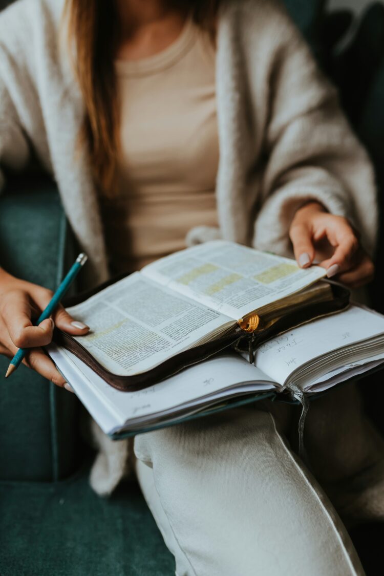 Bible Track image