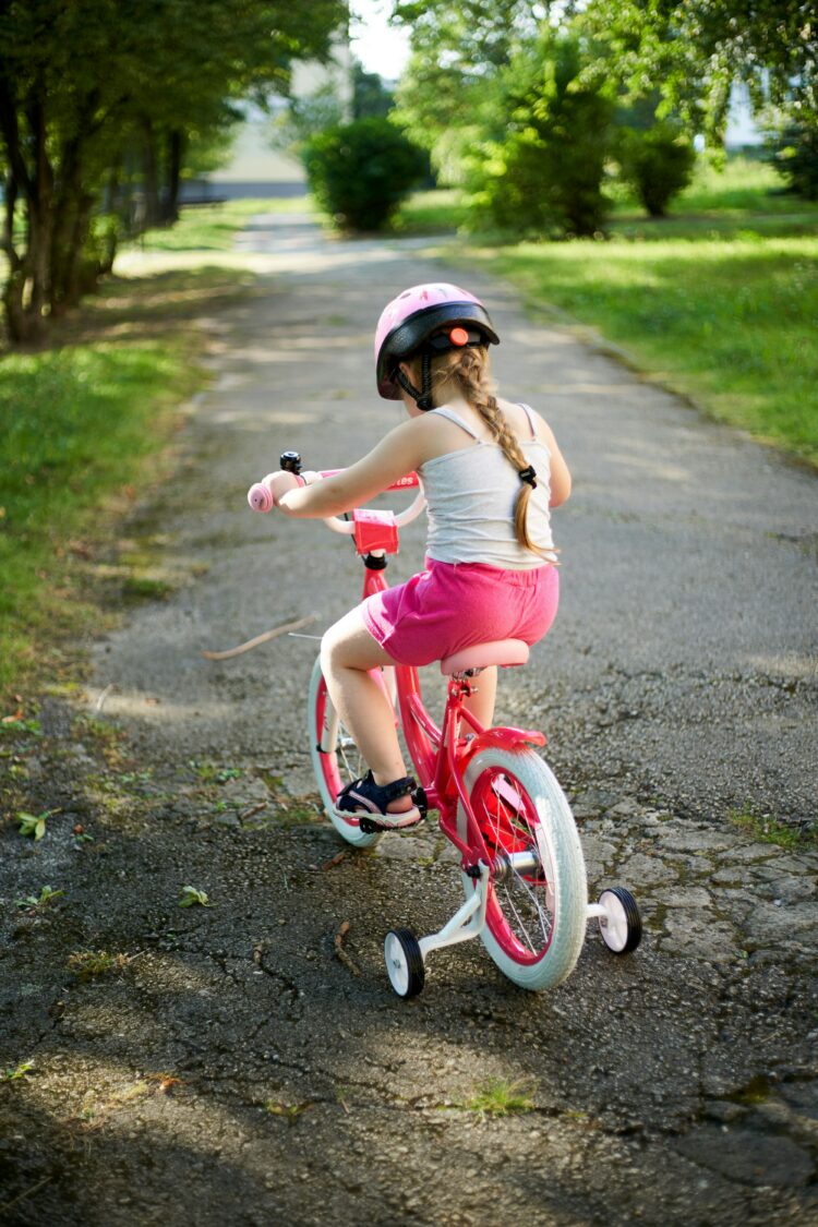 Pedal Palooza image